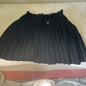 Zara Black A-Line Pleated Skirt